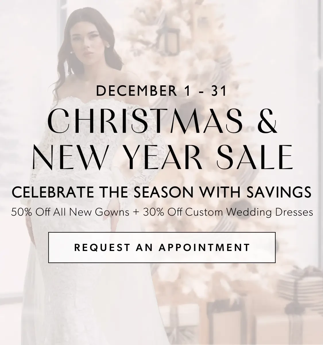 Christmas and New Year Sale