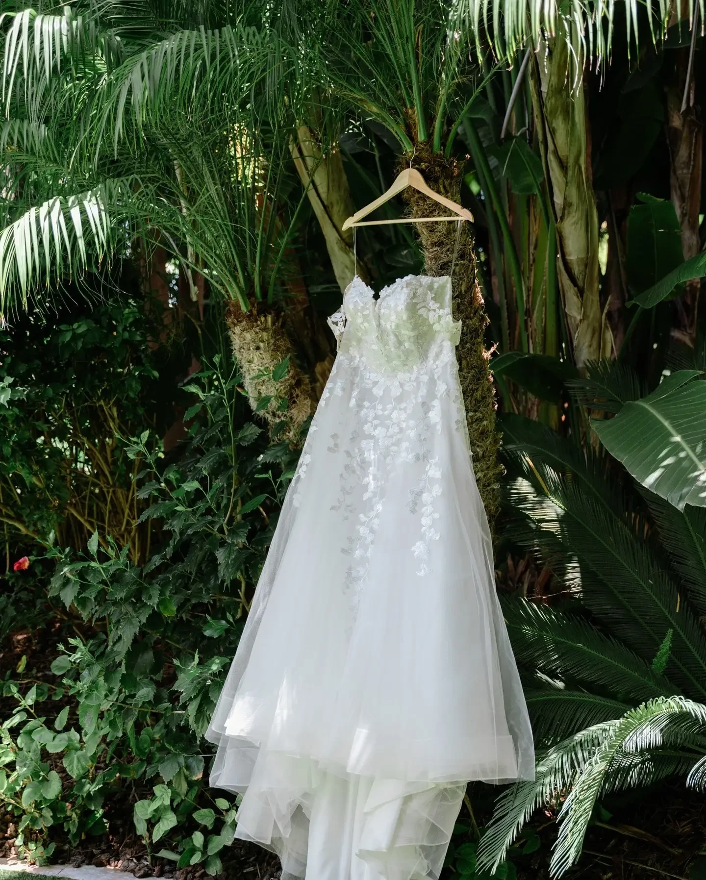 Where to Find the Perfect Wedding Dress in San Diego: A Local Bride’s Guide Image