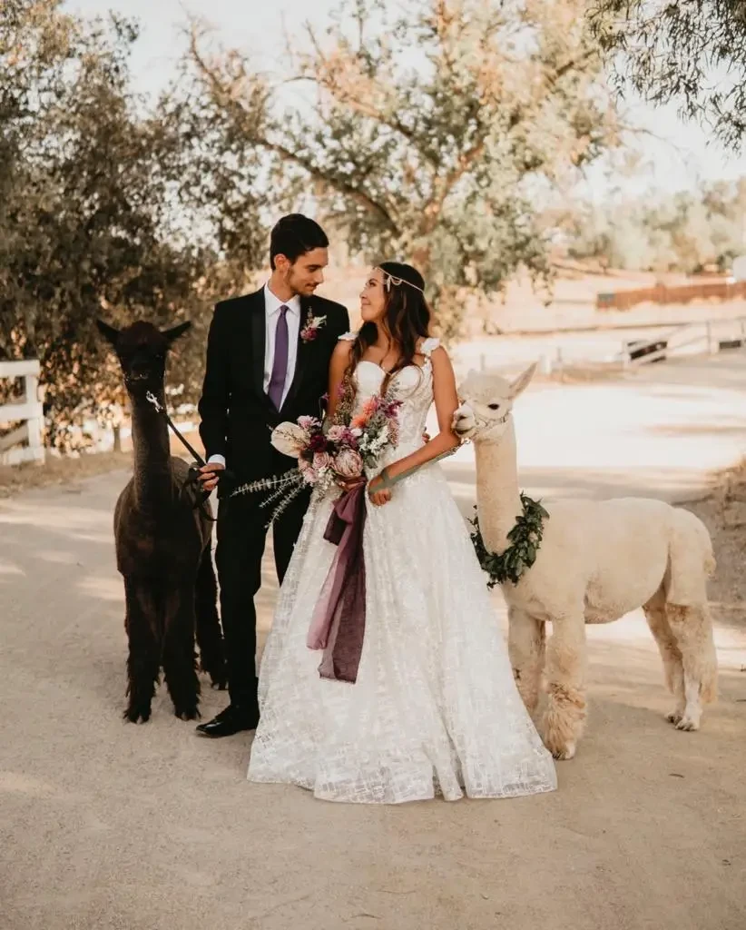 Gallery Image #slidesGrid212