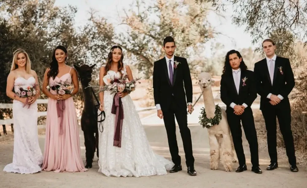 Gallery Image #slidesGrid4