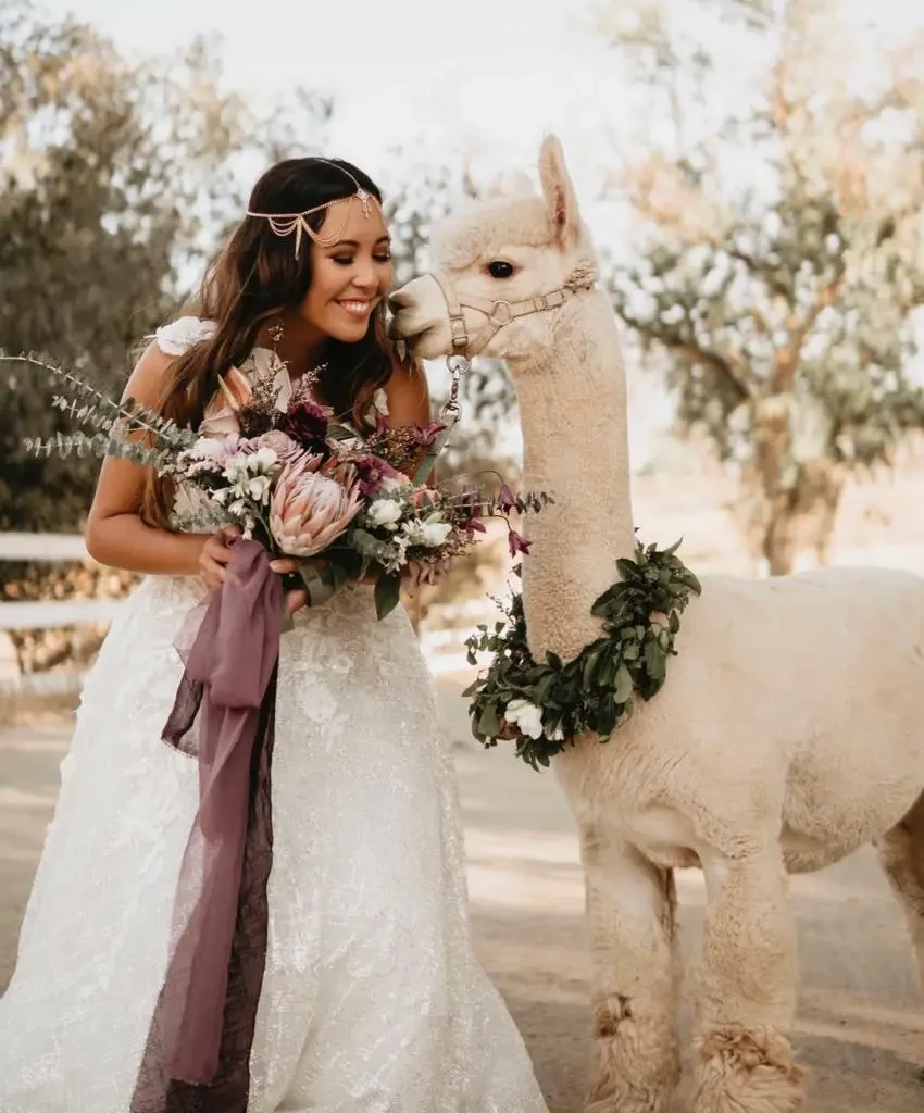 Gallery Image #slidesGrid222