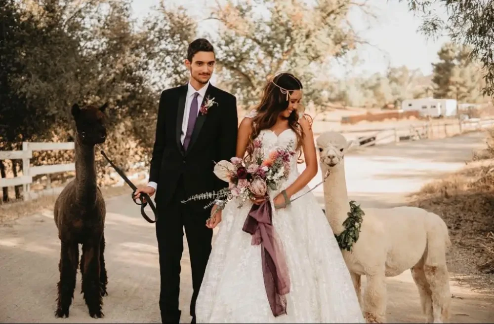 Gallery Image #slidesGrid25