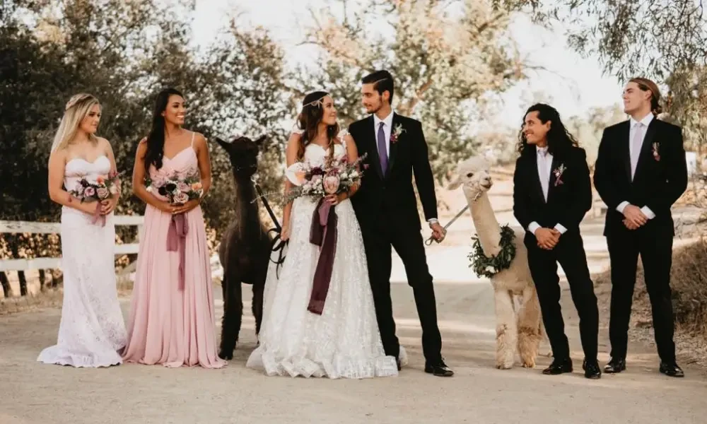 Gallery Image #slidesGrid5