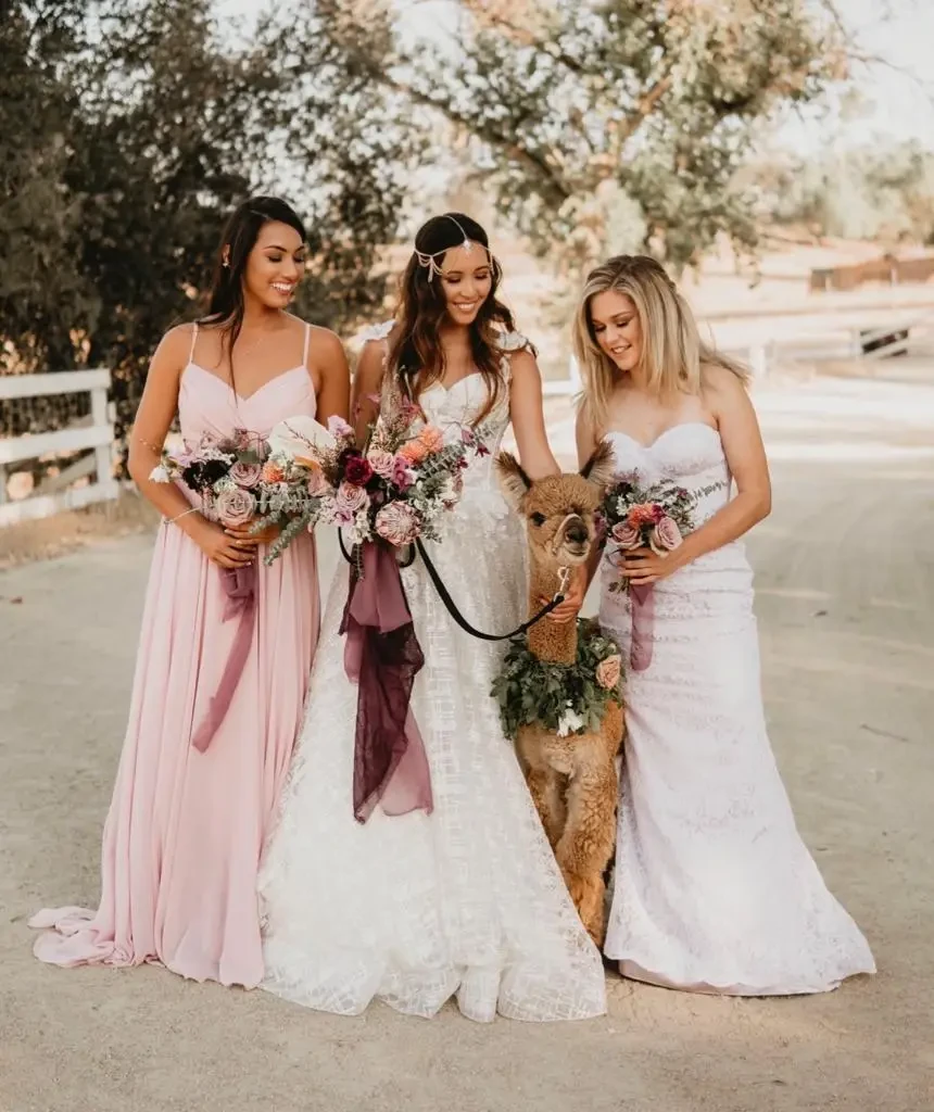 Gallery Image #slidesGrid221