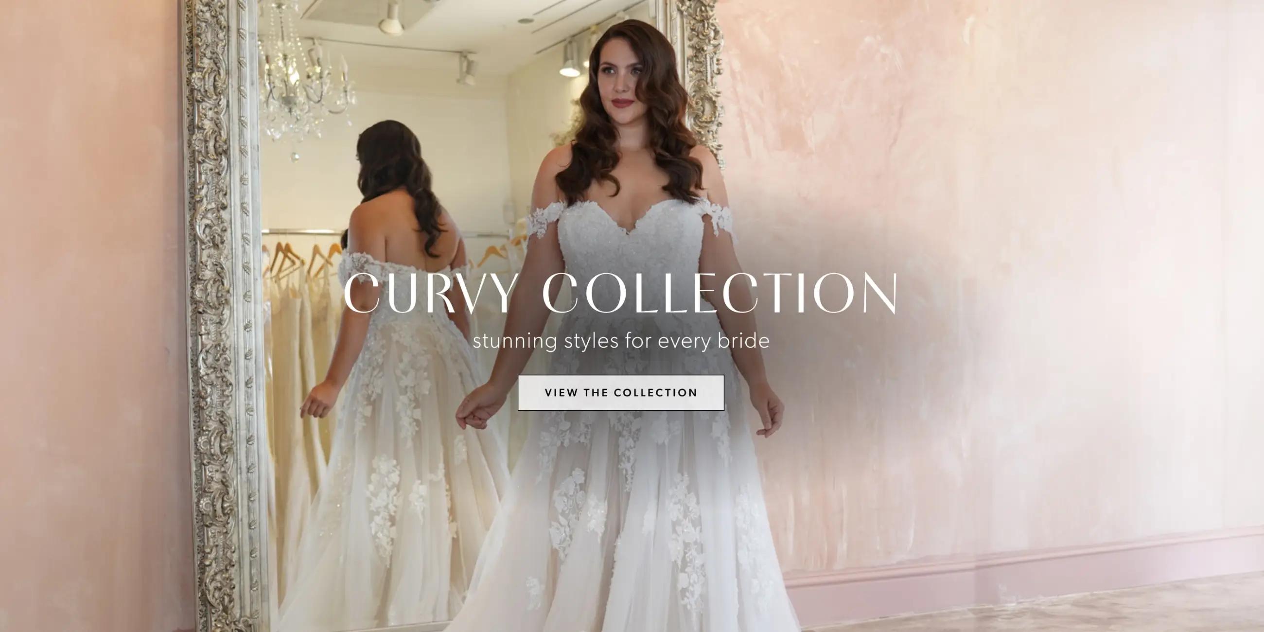 Desktop Curvy Collection Banner